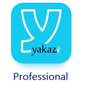 YKZ_Professional-300x300